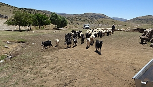 Göçerler bin 800 rakımda zorlu mesaide