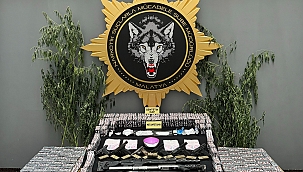 Malatya'da 'torbacı' operasyonu: 20 gözaltı 