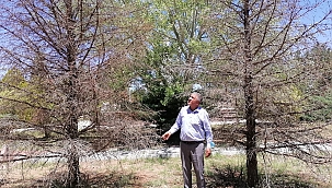 Akçadağlı Çiftçilere İcra Şoku! 