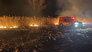 Malatya'da otluk alanda yangın 