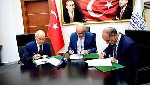 Söğütlü Cami'nin yapı kontrolü büyükşehir belediyesi tarafından yapılacak 