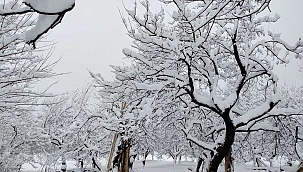 Pütürge'de kar yağışıyla kartpostallık görüntüler ortaya çıktı 