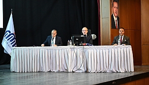 Sokak hayvanları için yeni düzenleme 