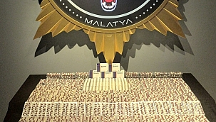 Torbacı operasyonu: 6 tutuklama