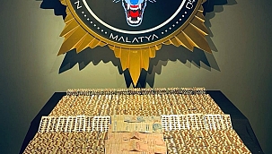 Torbacı operasyonu: 13 tutuklama