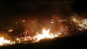 Malatya'da sazlık yangını 