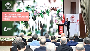 Zirai don etkileri Ankara gündeminde