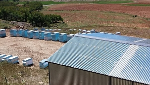 Arıcılıkta “Süper Gıda” Malatya’nın Arı Sütü Mercek Altında! 