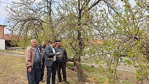 Başkan Ulutaş, doludan etkilenen üreticileri ziyaret etti 