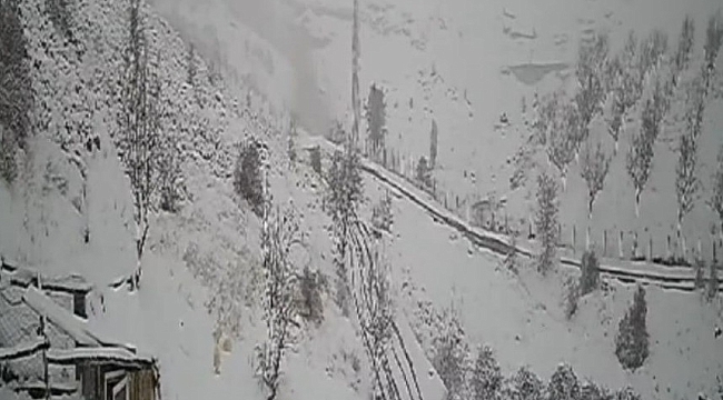 Kurt sürüsü güvenlik kamerasına yansıdı 