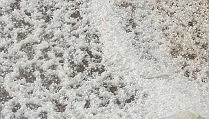 Malatya'da dolu kayısı bahçelerine zarar verdi 