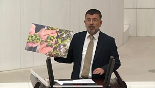 Malatya'da dolu ve don kayısıda büyük hasara yol açtı 