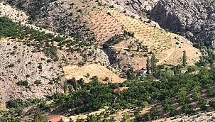 Kayıp Aysel Yıldırım'ın cinayete kurban gittiği belirlendi 