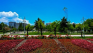 Malatya'da park ve kavşaklar çiçeklerle süslendi 