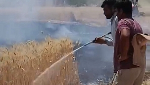 Buğday tarlasında çıkan yangında tonlarca ürün kül oldu