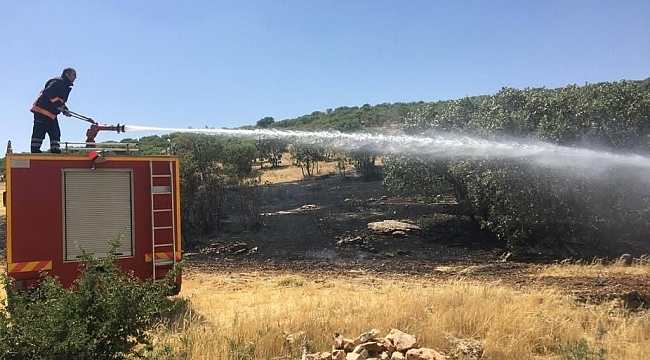 Malatya'da otluk ve bahçelik alanda yangın 