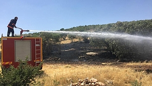 Malatya'da otluk ve bahçelik alanda yangın