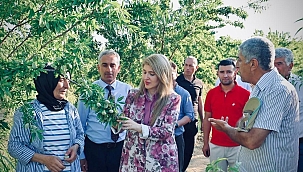 Ölmeztoprak incelemelerde bulundu 