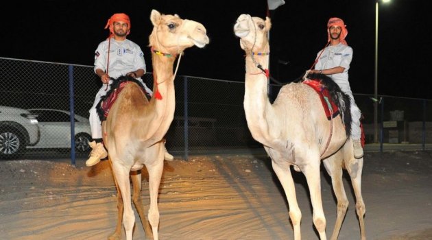 Abu Dabi polisi, develi devriye başlattı