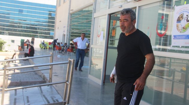 Acemi kasaplar hastanelere akın etti