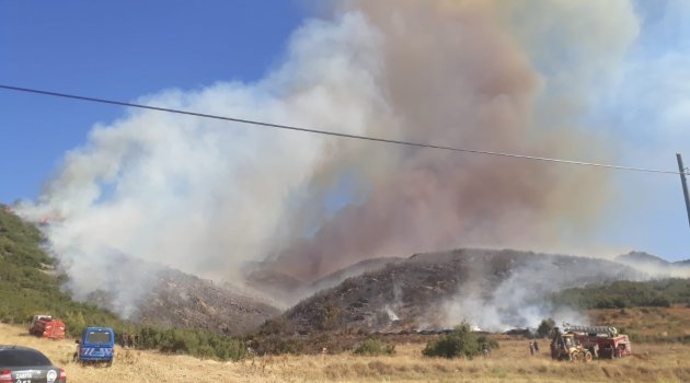 Afyon'da orman yangını