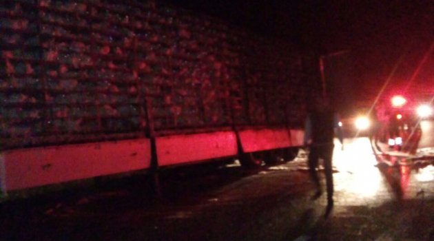 Akçadağ'da TIR yandı 8 Bin Tavuk Telef Oldu