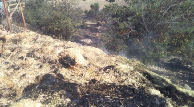 Akçadağ'da yangınlar tedirgin etti