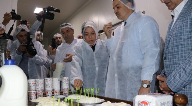 "Ambalajlı gıdalar tüketsinler"