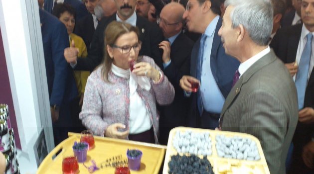Arapgir fuarda tanıtıldı!