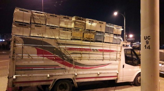 Malatya'da çalınan Arı kovanları Diyarbakır'da yakalandı