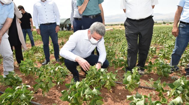 "Toprak her şeyin başlangıcı"