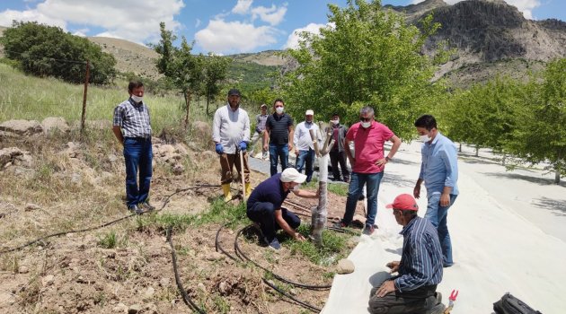 "Bu yılımız inşallah verimli geçer"