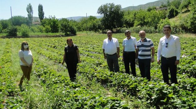 "Üretim sahalarını artırmak istiyoruz"