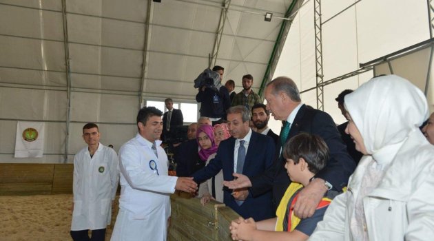 Durmaz görevden alındı