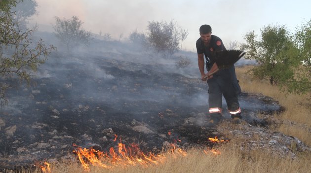 Elazığ'daki orman yangını 5 saatte kontrol altına alındı
