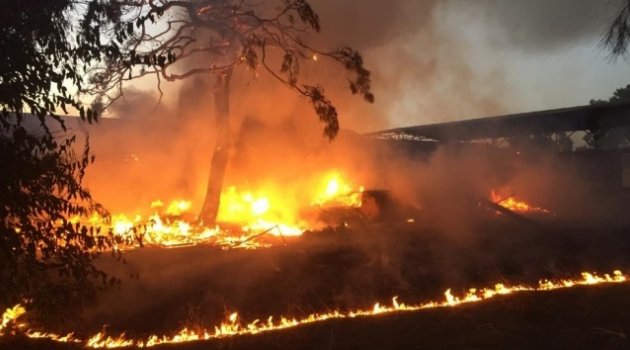 Erdemli'de çıkan yangın korkuttu