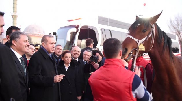 Erdoğan'dan Büyükşehir'e ziyaret