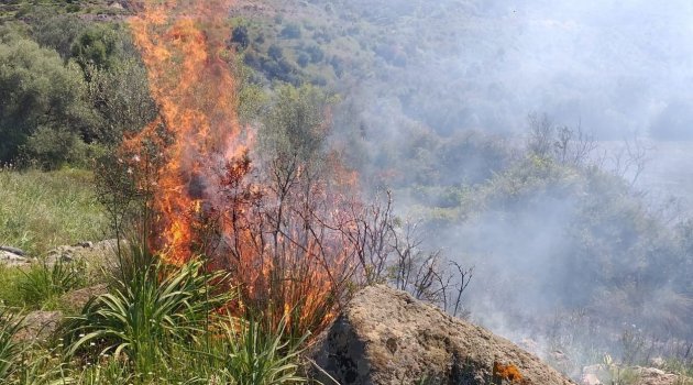 Erzincan'da örtü yangını