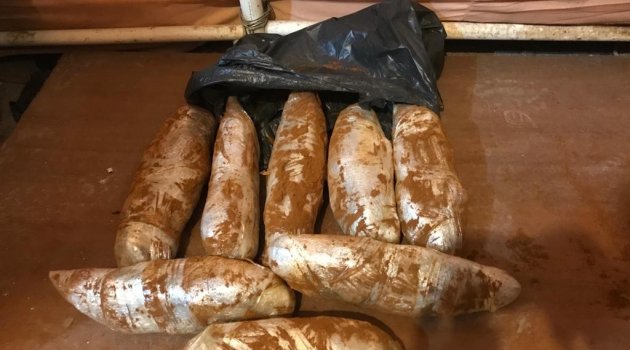Esrarı yolcu otobüsüyle başka ile götürürken yakalandılar