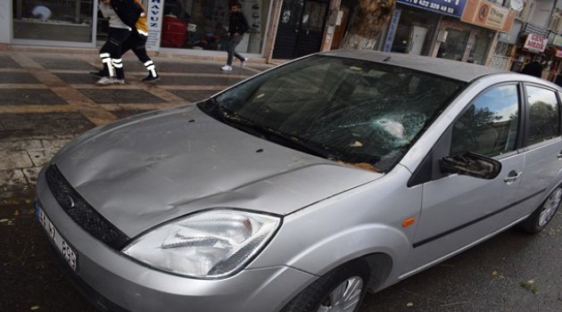 Ağaç otomobilin üzerine düştü