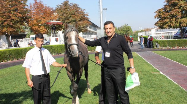 Geleceğin Yarış Atları Kapış Kapış Satıldı