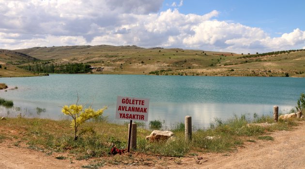 Gölette balıklar ölmeye başladı!
