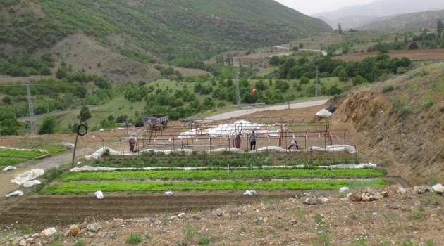 Hortum bahçe ve seralara zarar verdi
