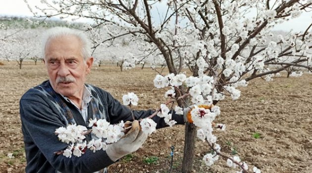 "İnşallah zirai don yaşanmaz"