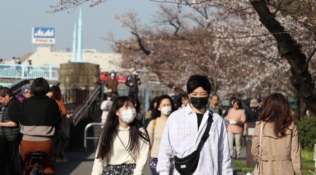 Japonya'da 'sakura' coşkusuna korona virüsü engeli