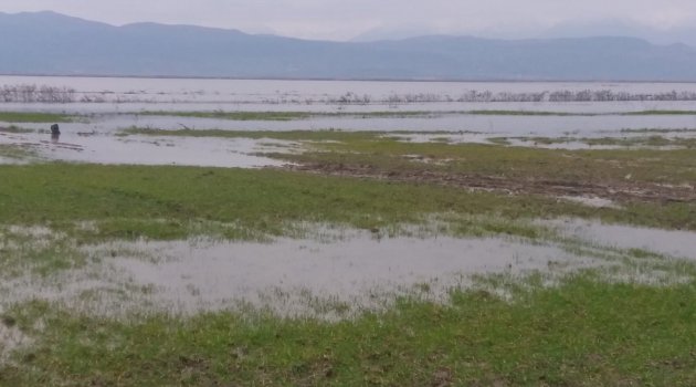 Kahramanmaraş'ta tarım arazileri sular altında kaldı