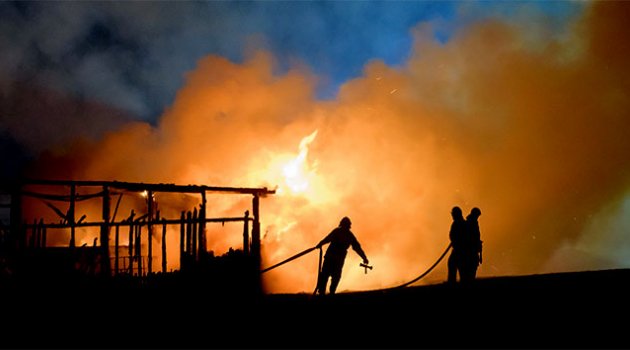 Kaliforniya'daki orman yangınlarında ölü sayısı 23'e yükseldi