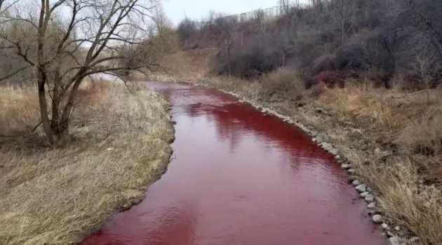 Kanada'da nehir kırmızıya büründü