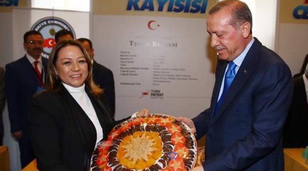 Karabulut, Erdoğan'a Kayısı Projesini Anlattı