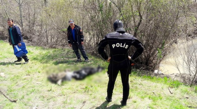 Kayıp sürücünün cesedine ulaşıldı